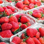Marché Saint Raphaël