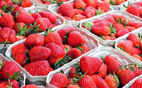 Marché Saint Raphaël