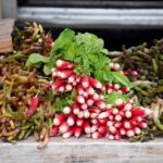 Marché Forville Cannes, Guide Cannes, Cannes Tourisme