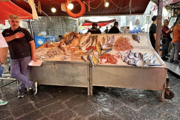 Marché Poisson Place Roya