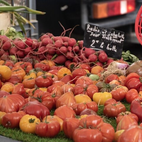 Marché Visiter Toulon, Marché Var, Guide Var, Guide Bandol, Guide Toulon, Guide Saint Tropez, Guide Sanary, Guide Provence