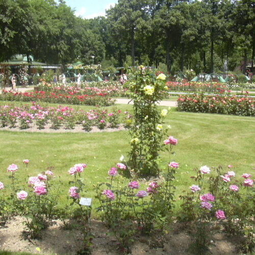 Parc de la Pépinière Nancy Parc de la Pépinière Nancy