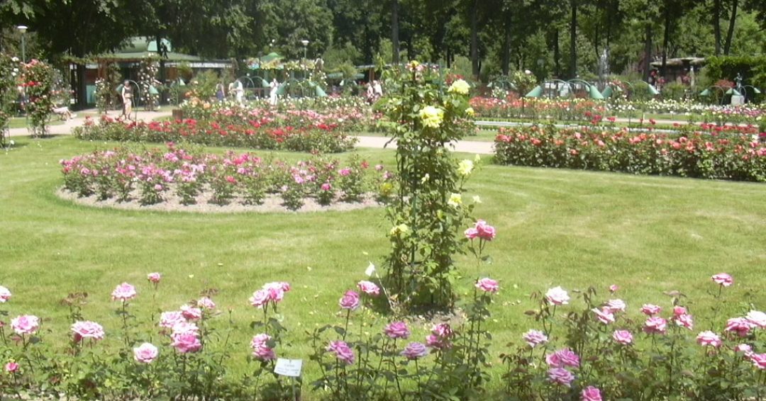 Parc de la Pépinière Nancy