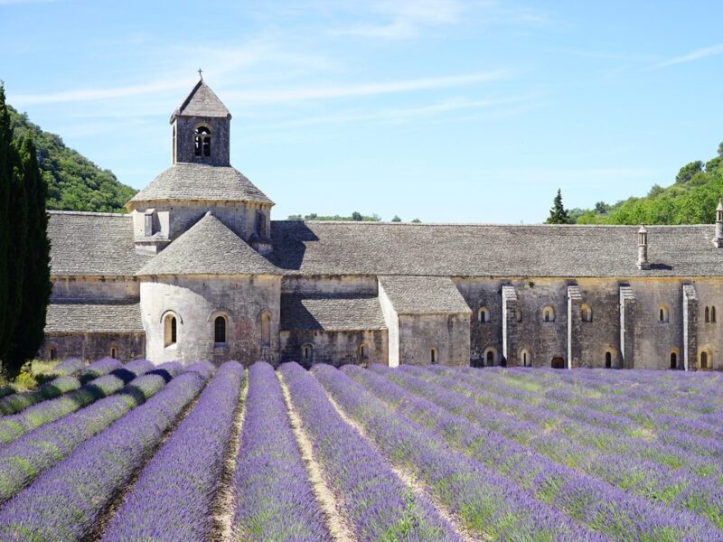 Provence-Champs-de-Lavande-Senanque-1