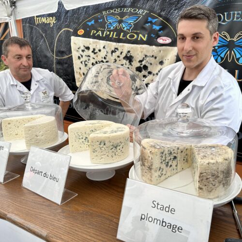 Roquefort de Millau Visiter Millau, Visite Millau