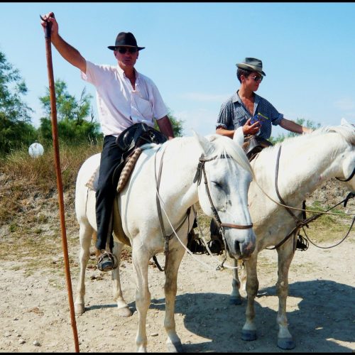 Gardians de CAMARGUE . Visiter Aigues Mortes, Visiter la Camargue
