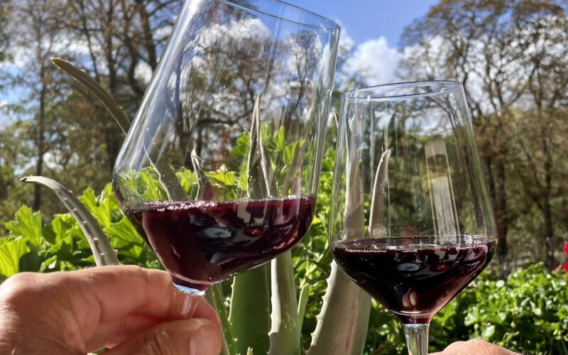 Vins de Corse Visiter Saint Florent