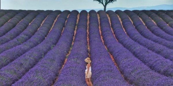 Visiter la région Provence Alpes Côte d'Azur, Guide Provence, Visiter la Provence, Guides Provence, Guide Sud Provence