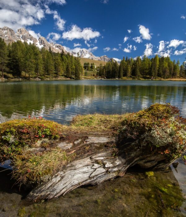 A lake surrounded by rocks and forests with trees reflecting on the water under the sunlight in Italy