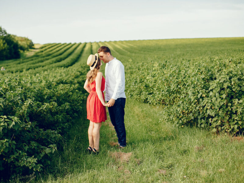 Couple in a field. Girl in a red dress. Man in a white shirt